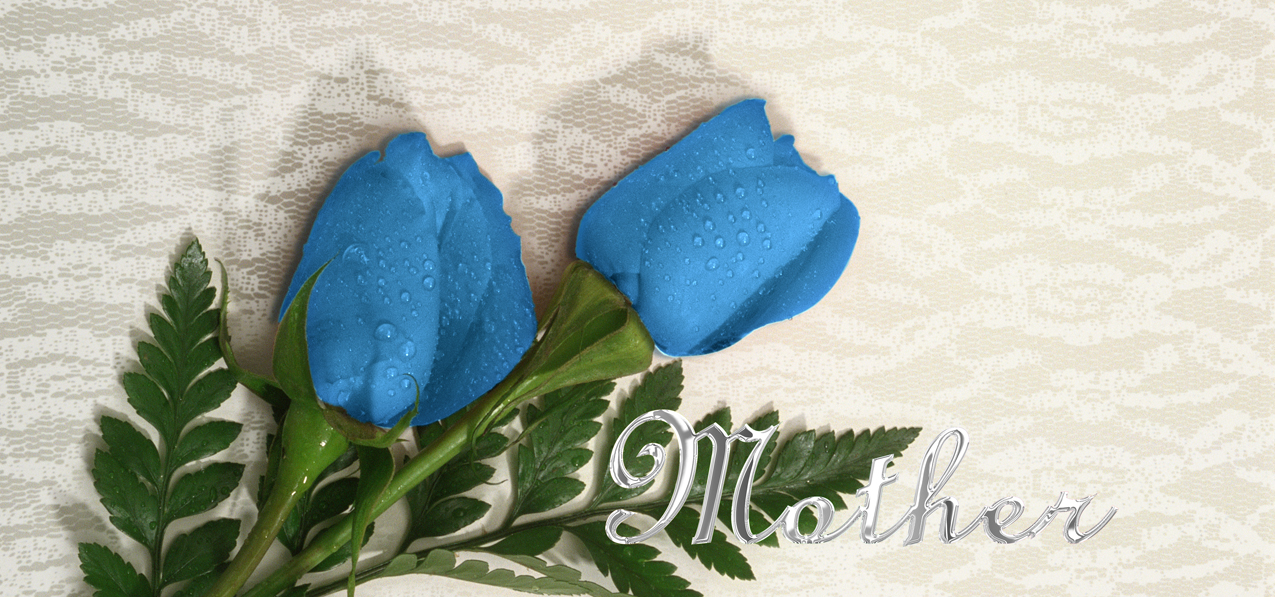 004 Mother Blue Roses